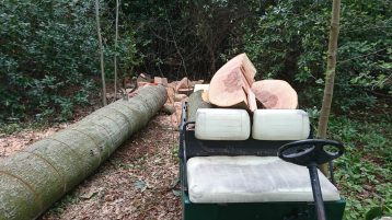 specialistisch vellen