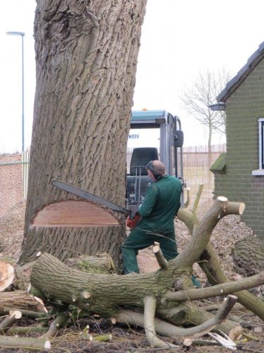 specialistisch vellen