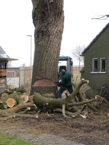 specialistisch vellen