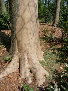 specialistisch vellen